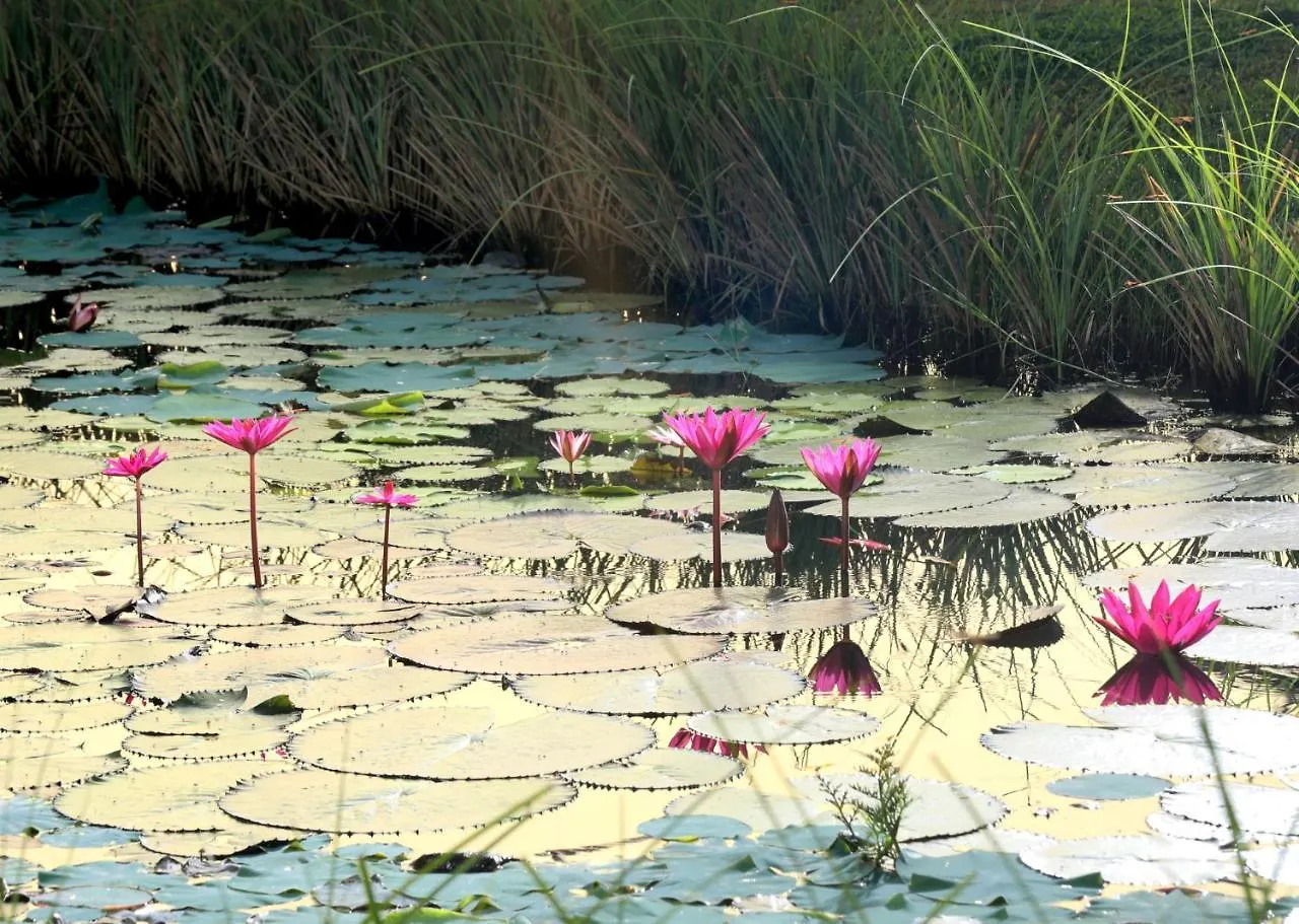 Niraamaya Wellness Retreats Backwaters And Beyond Kumarakom 5*,  India